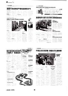 《足迹》2016 年刊 第 89 页